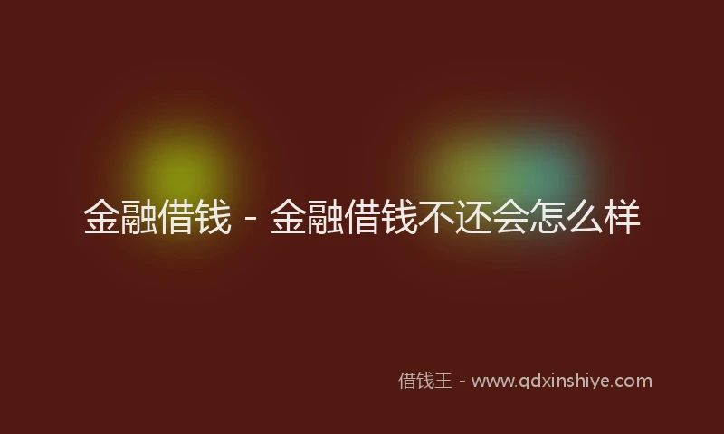 金融借钱 - 金融借钱不还会怎么样