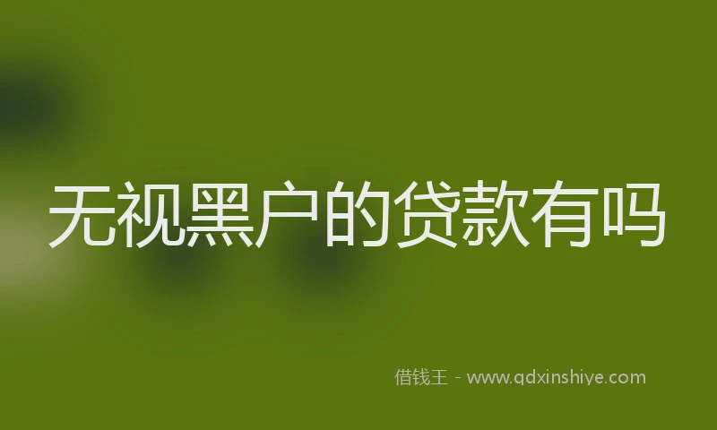 无视黑户的贷款有吗