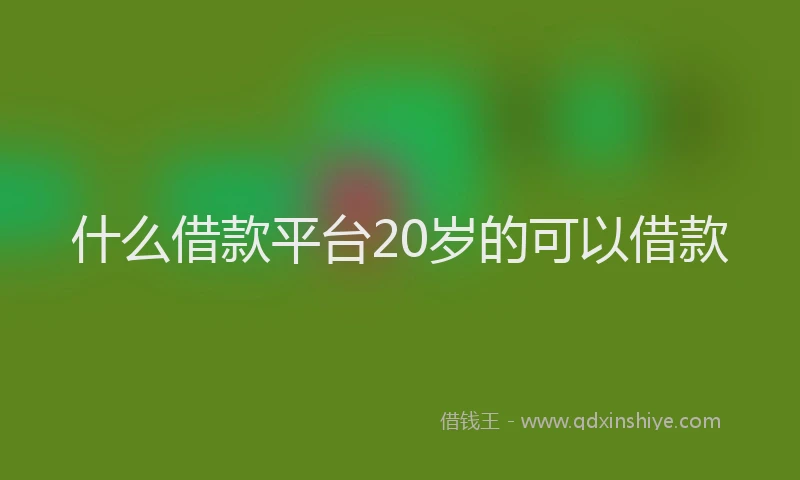 什么借款平台20岁的可以借款
