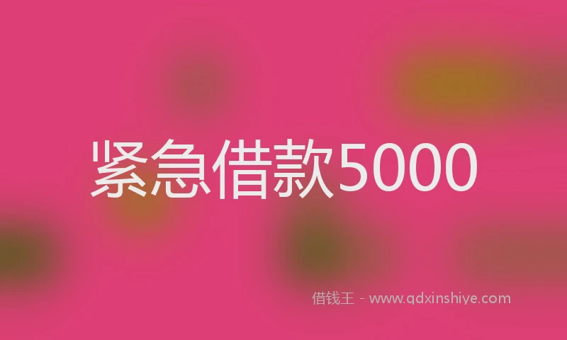 紧急借款5000