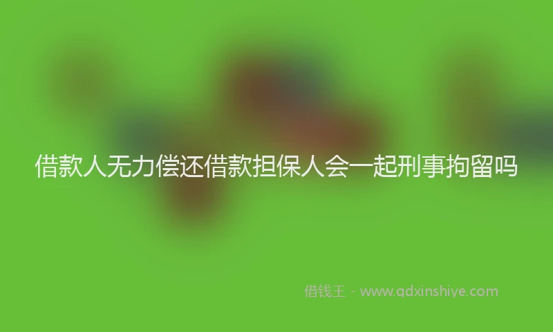 借款人无力偿还借款担保人会一起刑事拘留吗