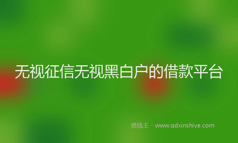 无视征信无视黑白户的借款平台