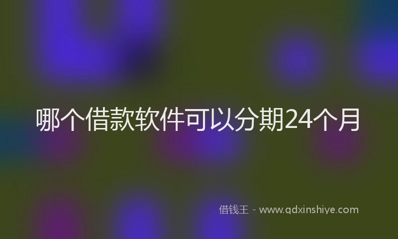 哪个借款软件可以分期24个月