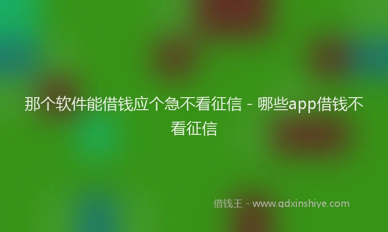 那个软件能借钱应个急不看征信 - 哪些app借钱不看征信