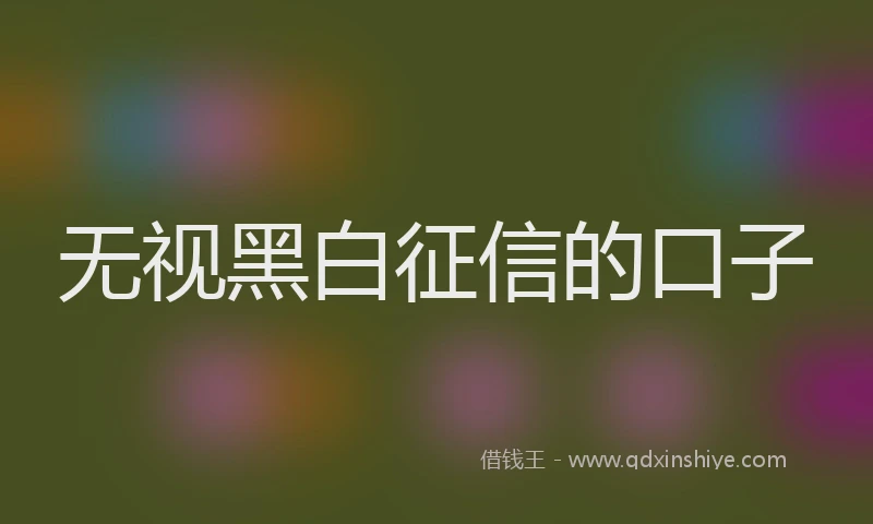 无视黑白征信的口子