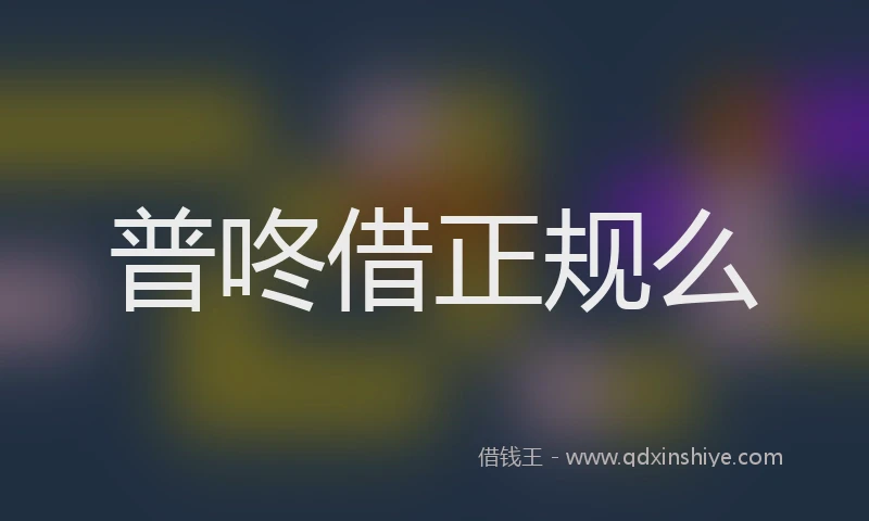 普咚借正规么