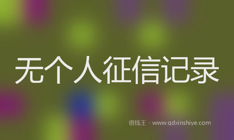 无个人征信记录
