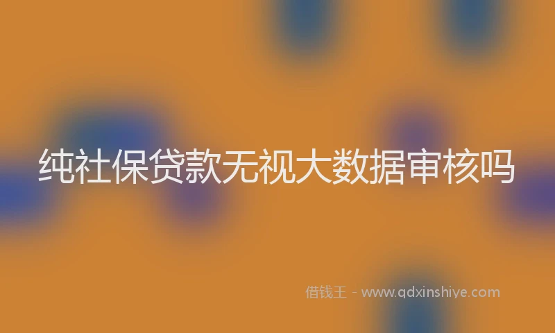 纯社保贷款无视大数据审核吗