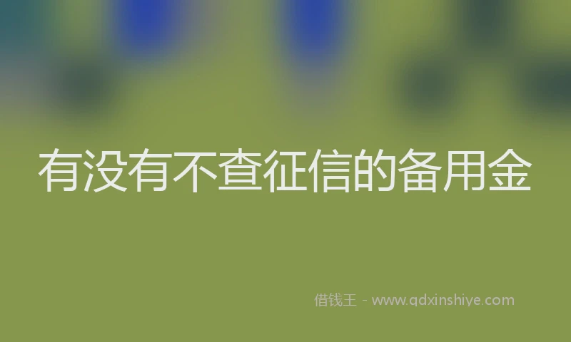 有没有不查征信的备用金