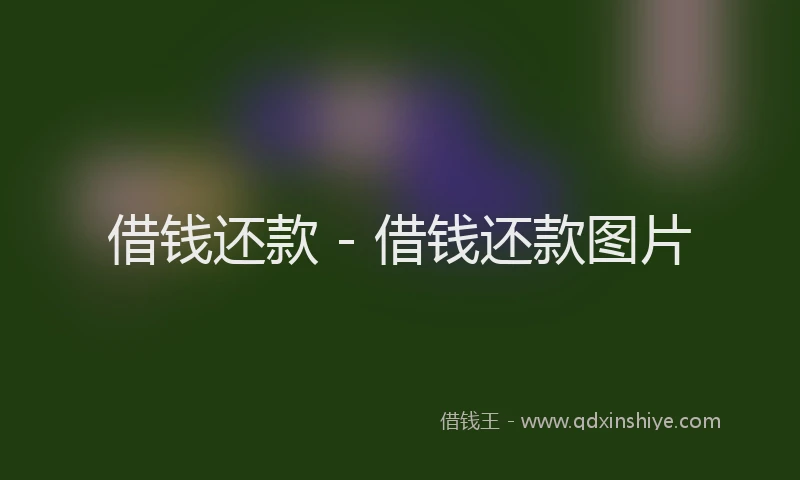 借钱还款 - 借钱还款图片