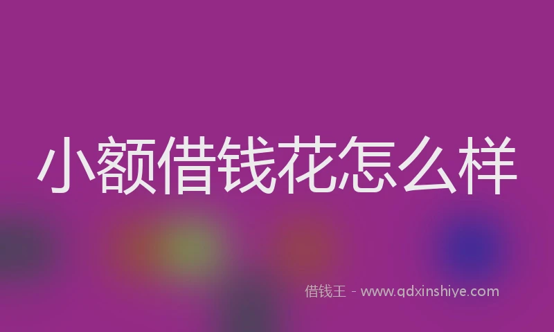小额借钱花怎么样