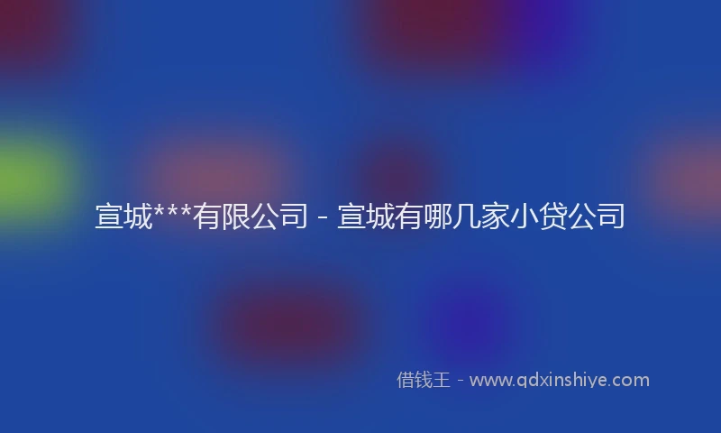 宣城***有限公司 - 宣城有哪几家小贷公司