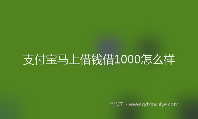 支付宝马上借钱借1000怎么样