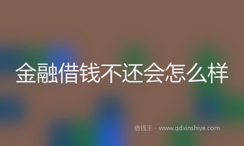 金融借钱不还会怎么样