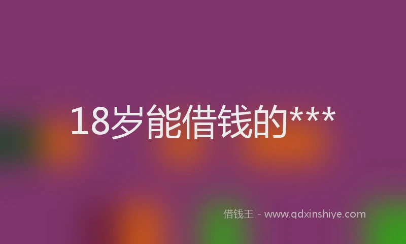 18岁能借钱的***