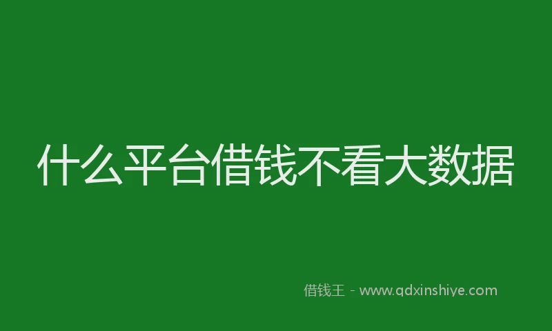 什么平台借钱不看大数据