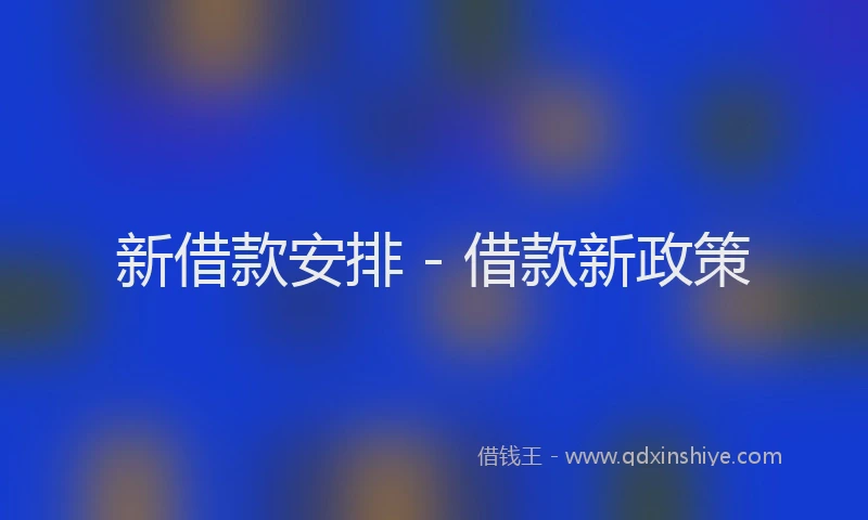 新借款安排 - 借款新政策