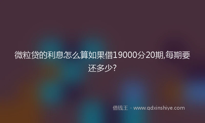 微粒贷的利息怎么算如果借19000分20期,每期要还多少?