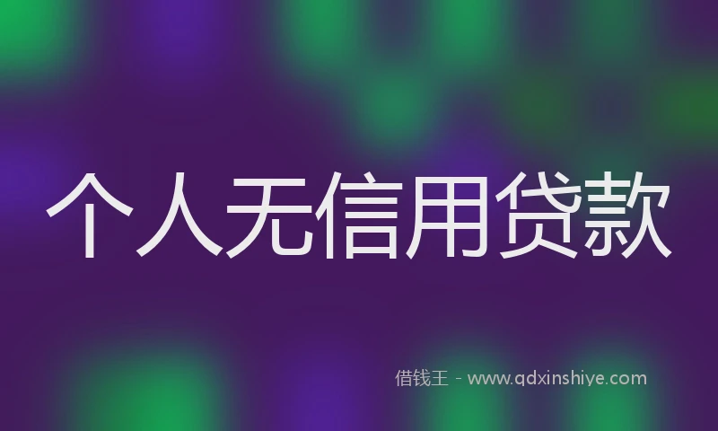 个人无信用贷款
