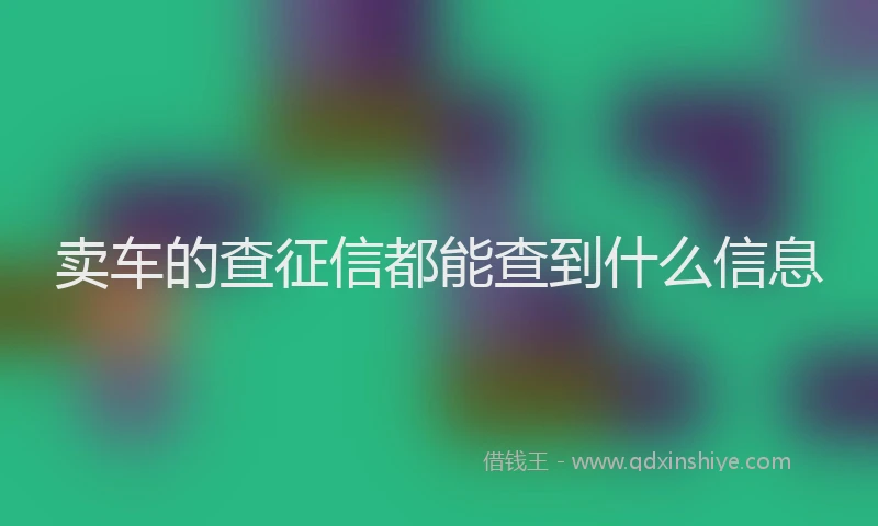 卖车的查征信都能查到什么信息