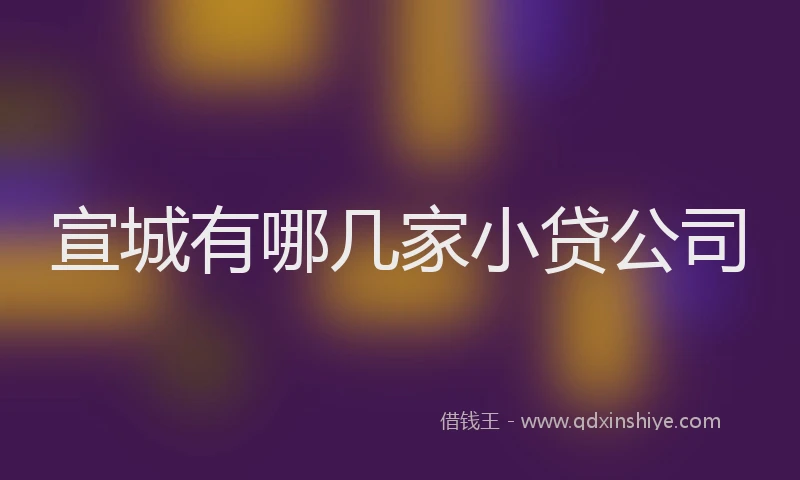 宣城有哪几家小贷公司