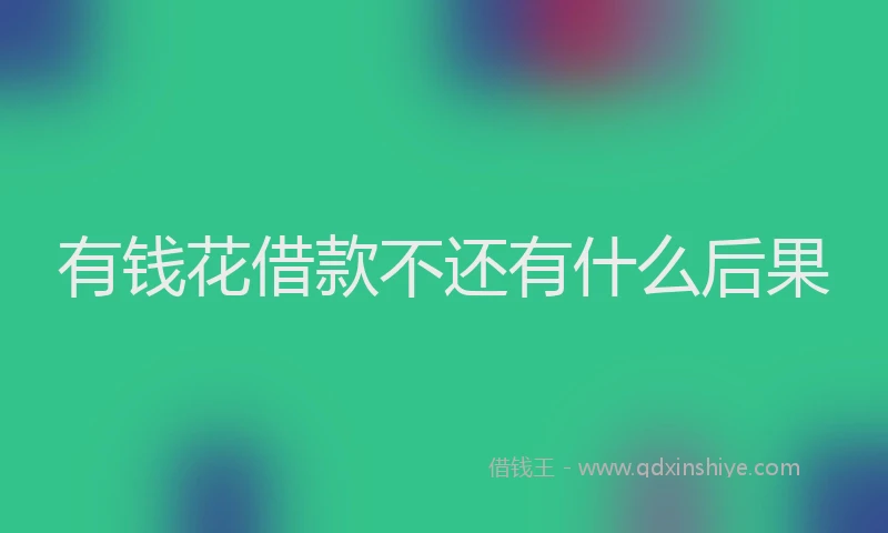 有钱花借款不还有什么后果