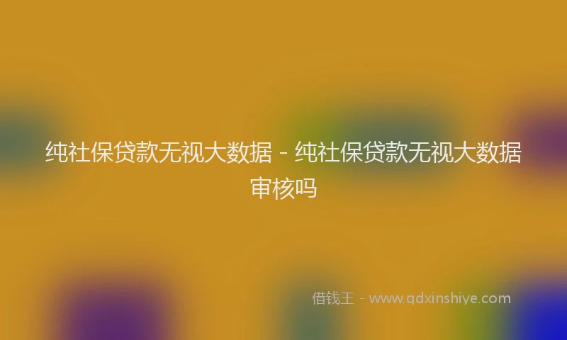 纯社保贷款无视大数据 - 纯社保贷款无视大数据审核吗