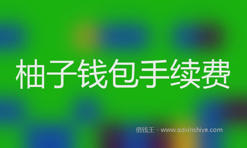 柚子钱包手续费