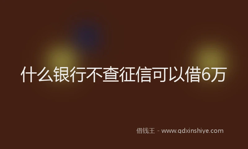 什么银行不查征信可以借6万