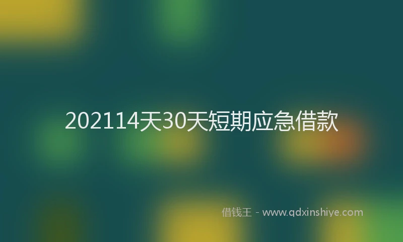 202114天30天短期应急借款