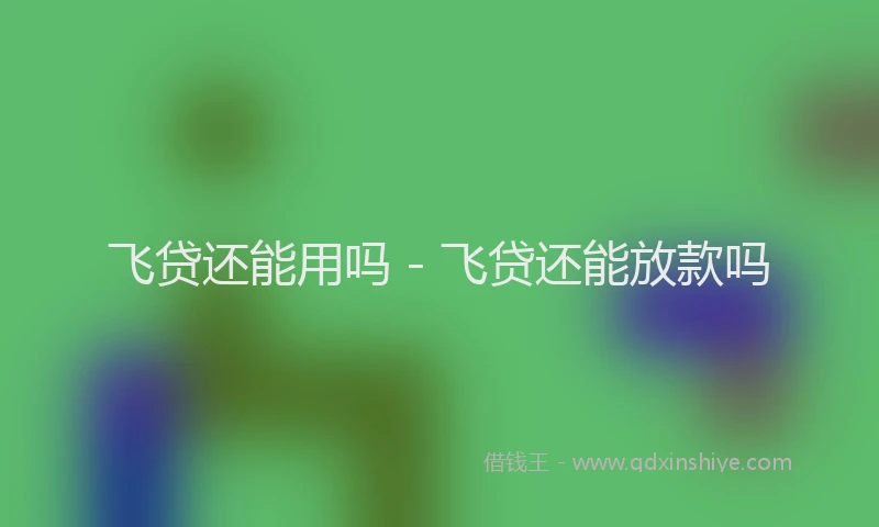 飞贷还能用吗 - 飞贷还能放款吗