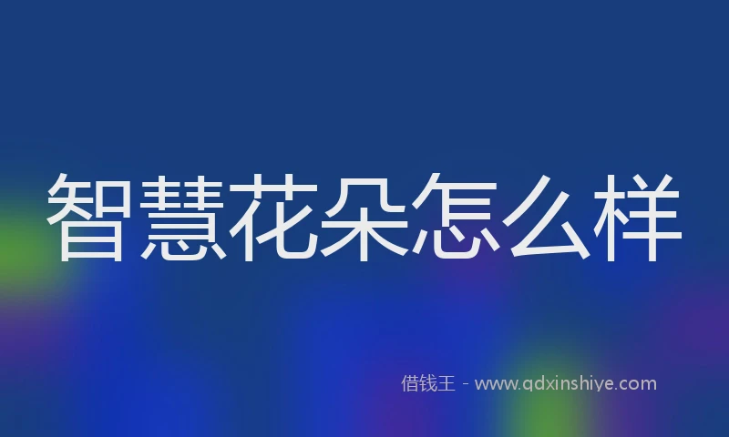智慧花朵怎么样