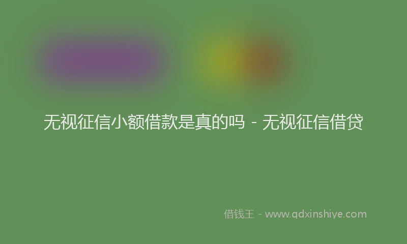 无视征信小额借款是真的吗 - 无视征信借贷