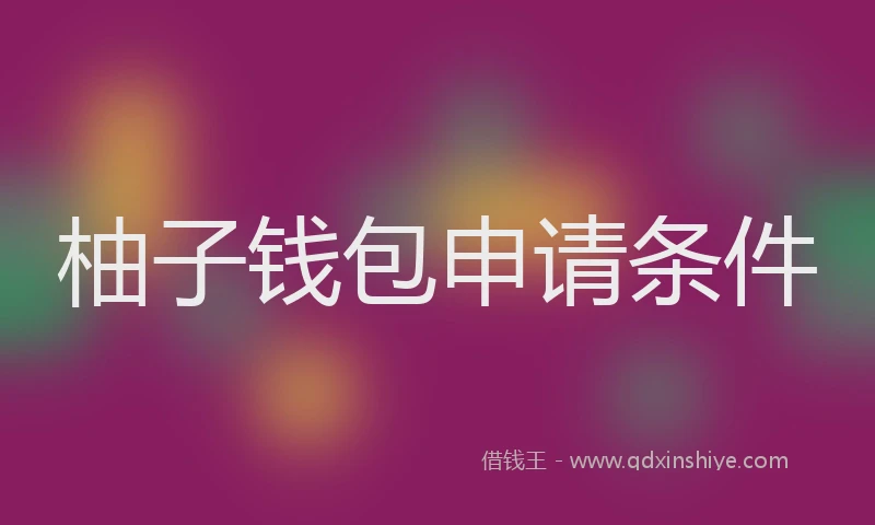 柚子钱包申请条件