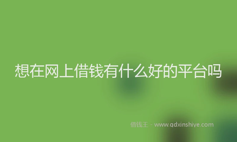 想在网上借钱有什么好的平台吗