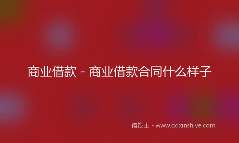 商业借款 - 商业借款合同什么样子