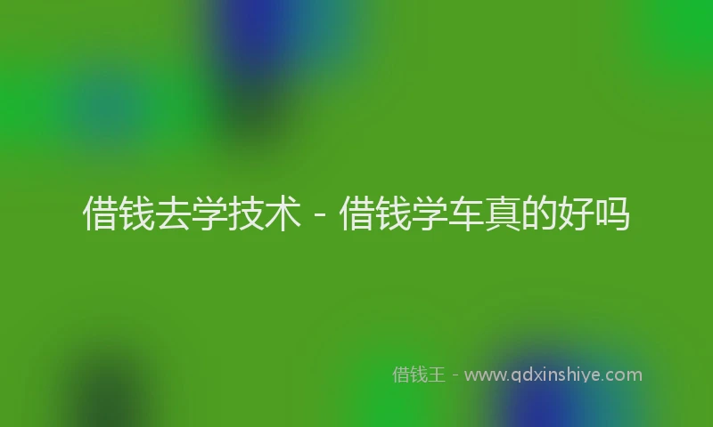 借钱去学技术 - 借钱学车真的好吗