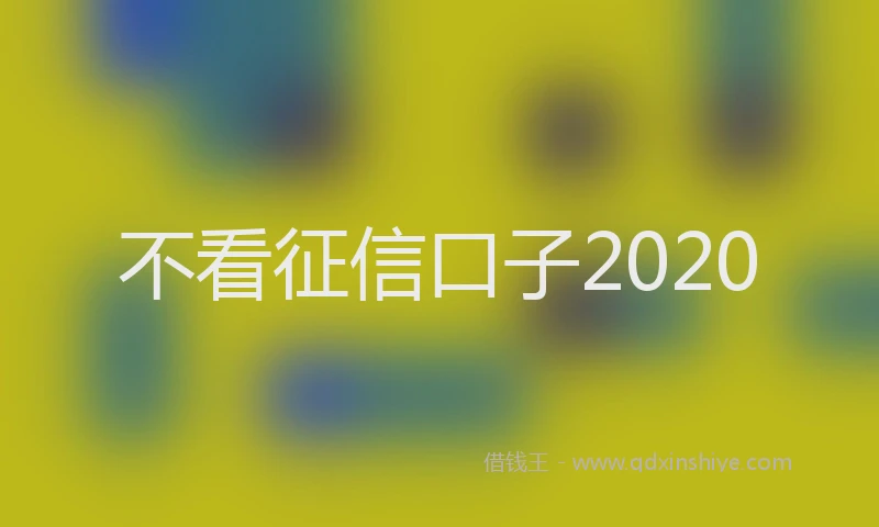 不看征信口子2020