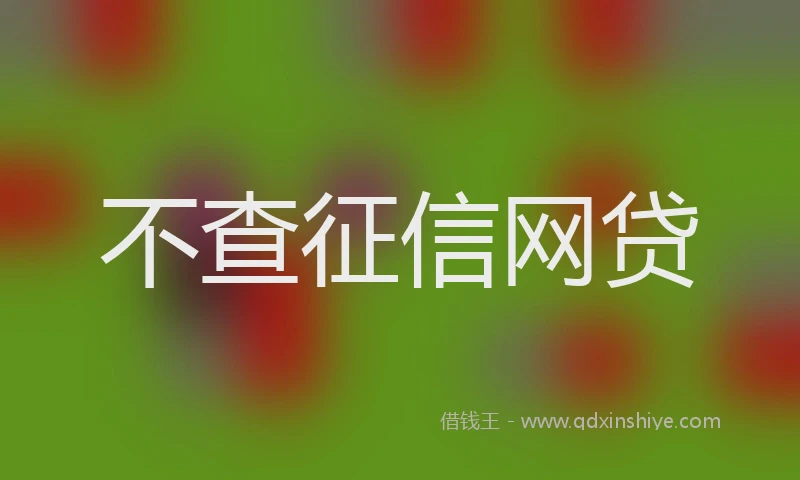不查征信网贷