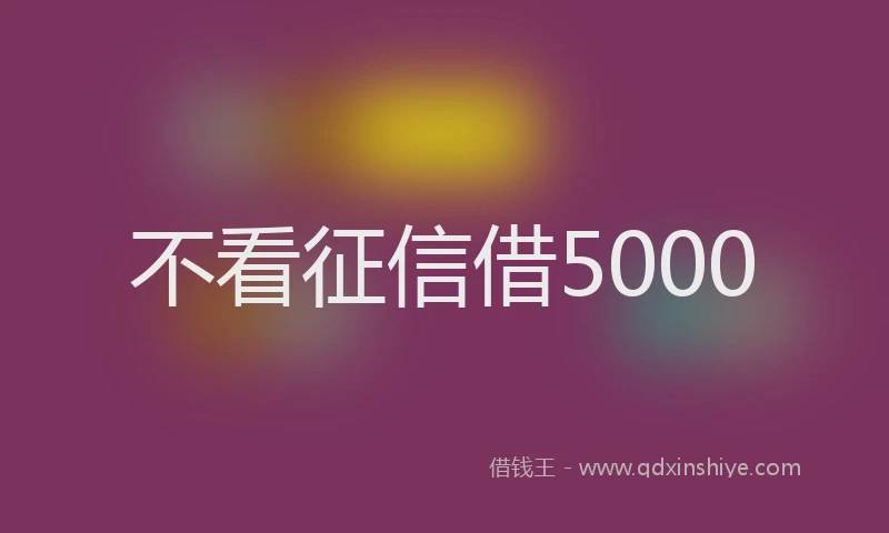 不看征信借5000