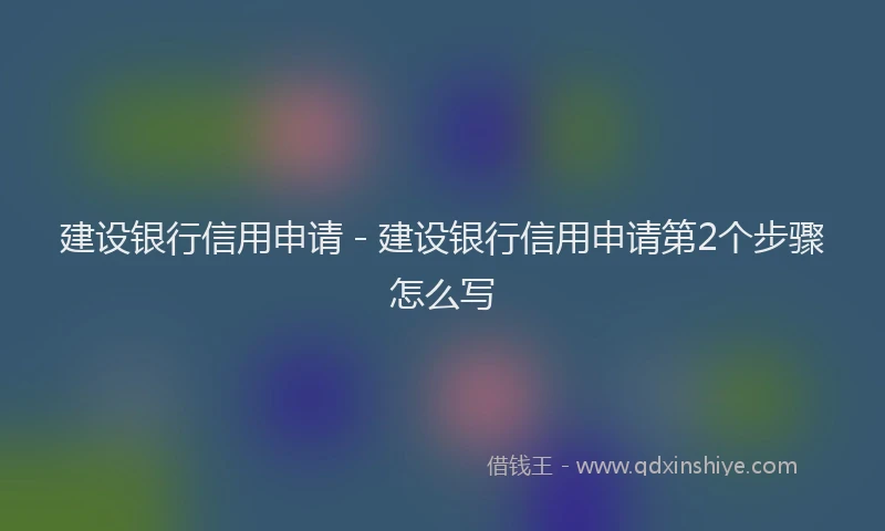 建设银行信用申请 - 建设银行信用申请第2个步骤怎么写
