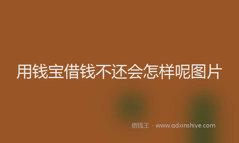 用钱宝借钱不还会怎样呢图片