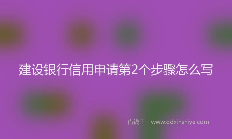 建设银行信用申请第2个步骤怎么写