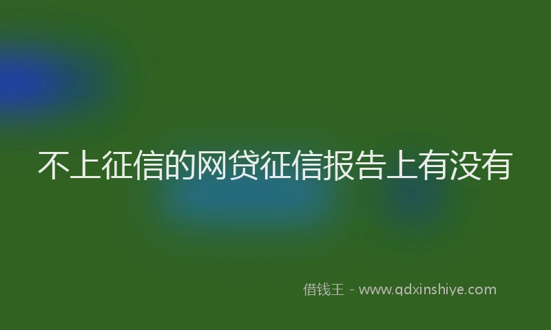 不上征信的网贷征信报告上有没有