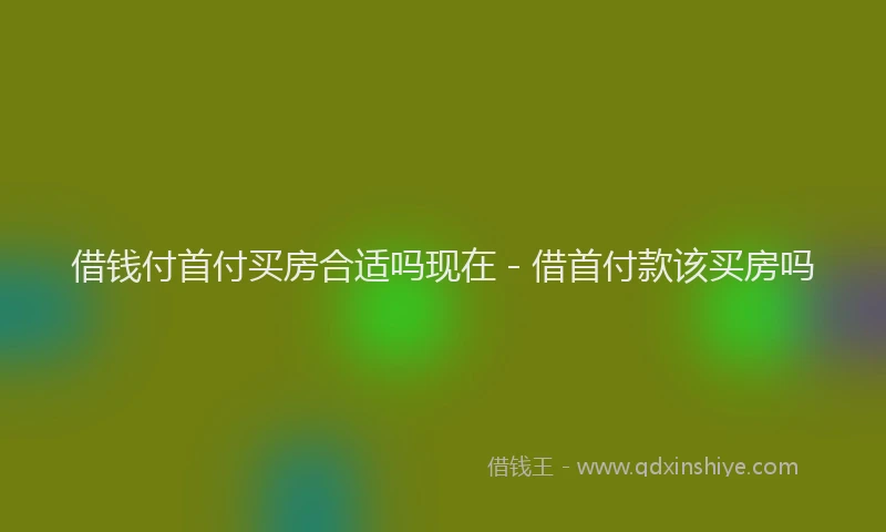 借钱付首付买房合适吗现在 - 借首付款该买房吗