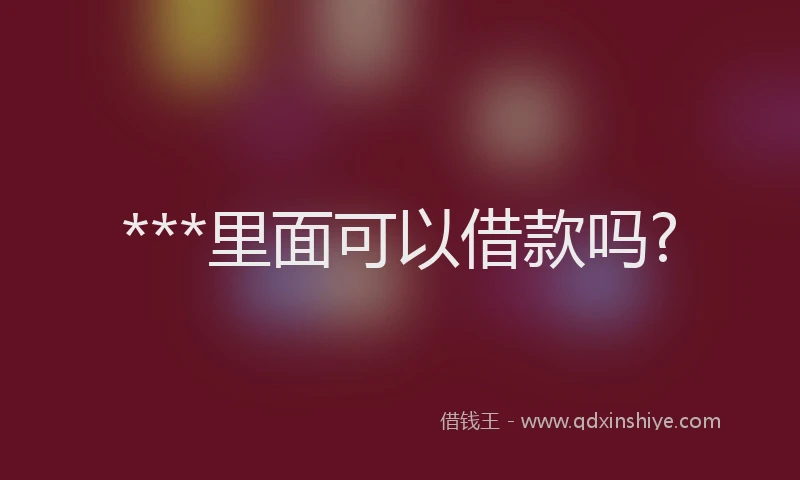 ***里面可以借款吗?