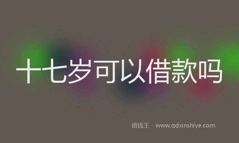 十七岁可以借款吗