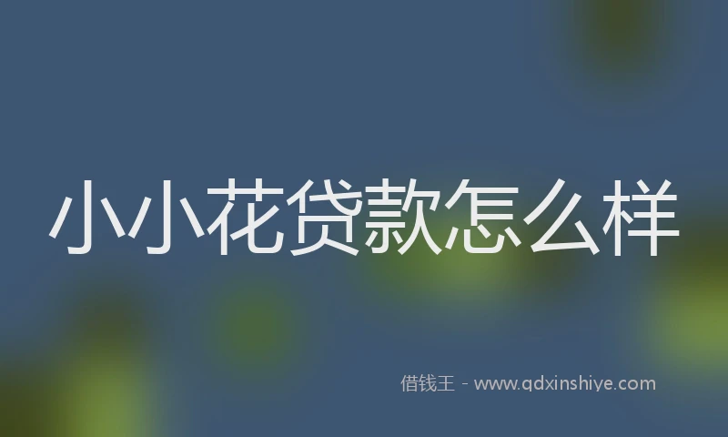 小小花贷款怎么样