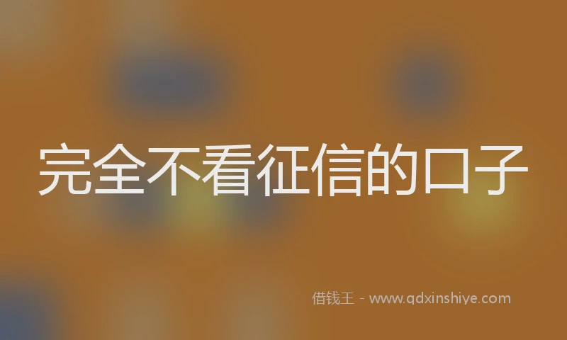 完全不看征信的口子