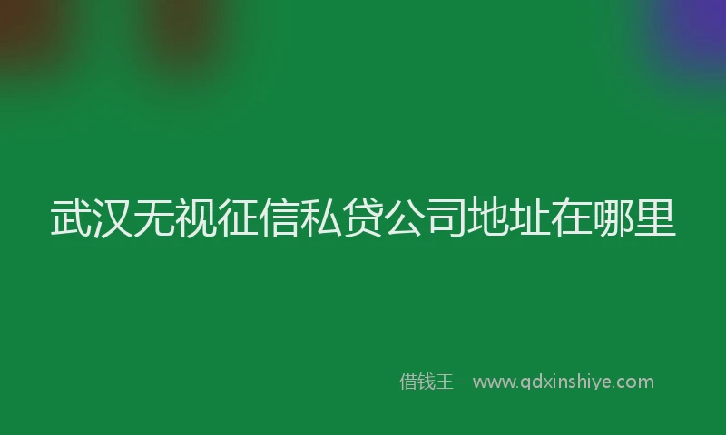 武汉无视征信私贷公司地址在哪里